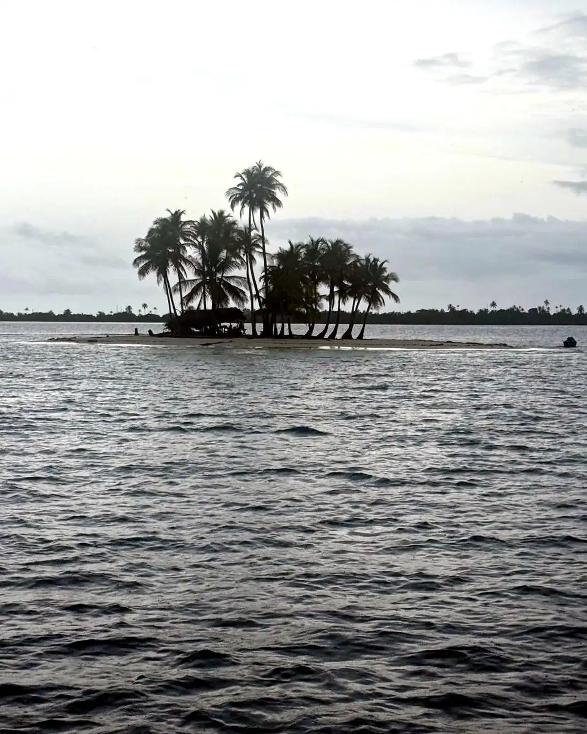 unnamed (6)